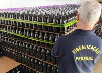 Mapa interdita fábrica clandestina no Paraná e apreende 32 mil litros de vinho