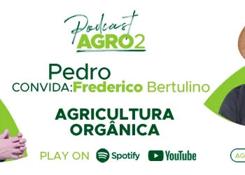 Podcast com Frederico Bertulino
