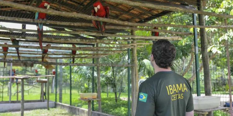 Servidores do meio ambiente anunciam greve e pedem valorização salarial