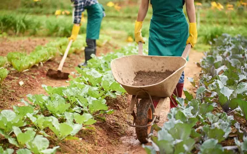 Agricultores familiares terão verba para recuperação após desastres