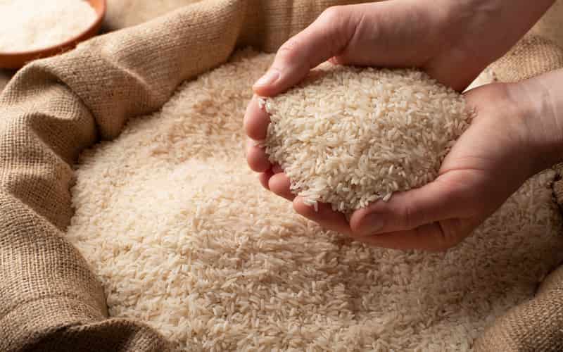 Diretor da Conab é demitido do cargo após polêmica do leilão de arroz