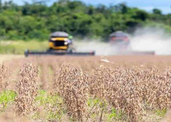 Colheita de soja no Rio Grande do Sul atinge 96% da área