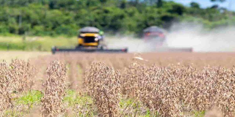 Colheita de soja no Rio Grande do Sul atinge 96% da área