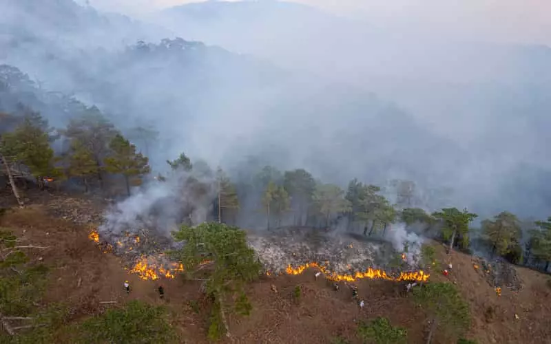 Incêndio atinge 200 hectares do Parque Nacional do Itatiaia