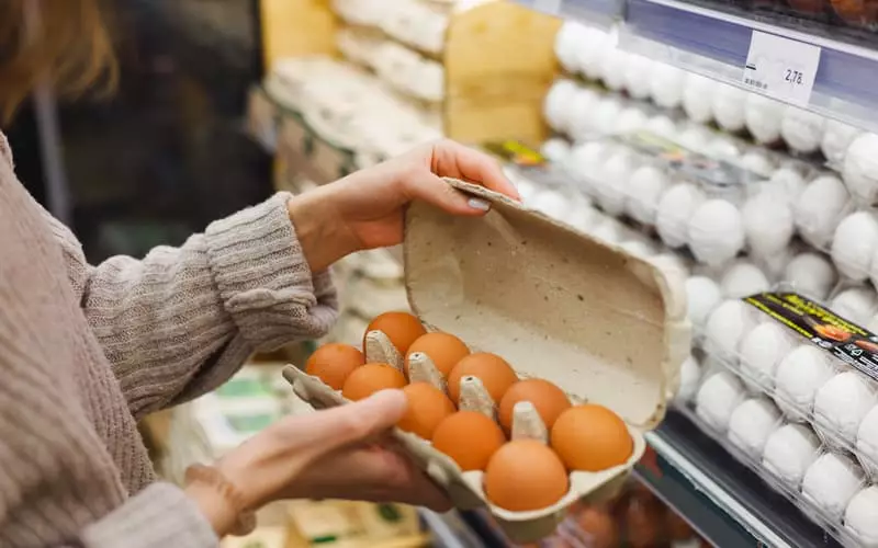 Produção brasileira de ovos bate recorde no primeiro trimestre de 2024