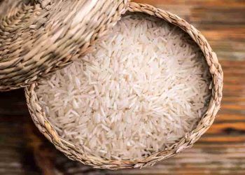 Conab compra 263 mil toneladas de arroz importado em leilão