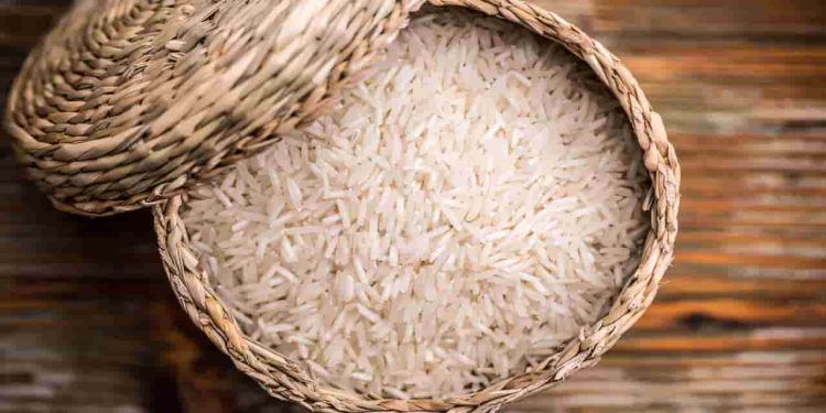 Conab compra 263 mil toneladas de arroz importado em leilão