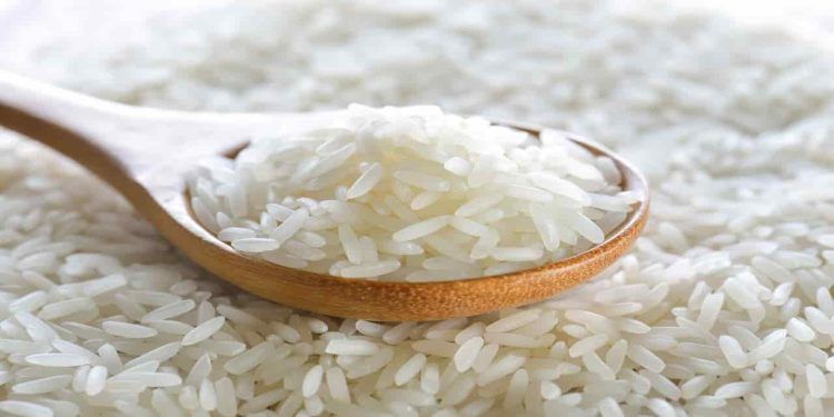 Conab realiza leilão para compra de arroz importado quinta-feira (6)