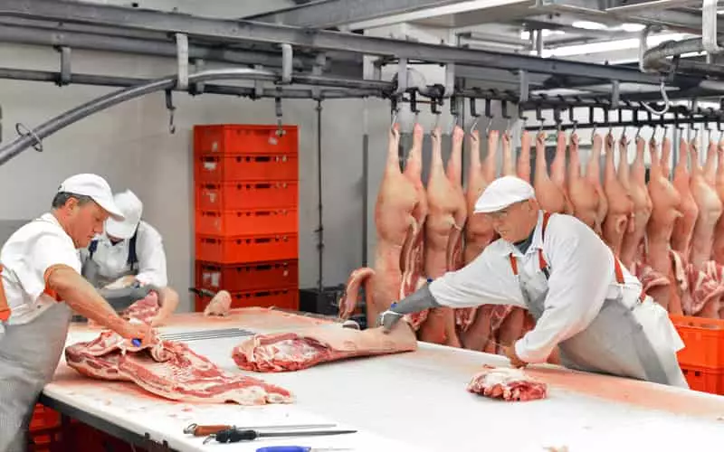 Exportações de carne suína crescem em junho e superam metade do volume de 2023