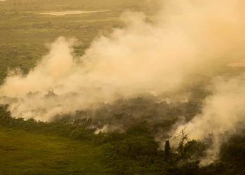 Governo do Mato Grosso do Sul decreta situação de emergência devido a incêndios