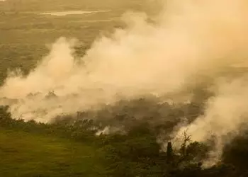 Governo do Mato Grosso do Sul decreta situação de emergência devido a incêndios