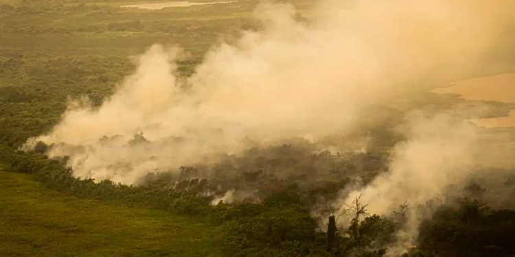 Governo do Mato Grosso do Sul decreta situação de emergência devido a incêndios