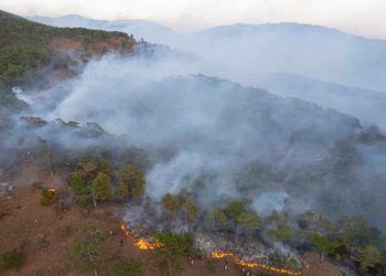 Governo destina R$ 100 milhões para combate a incêndios no Pantanal