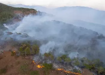 Governo destina R$ 100 milhões para combate a incêndios no Pantanal