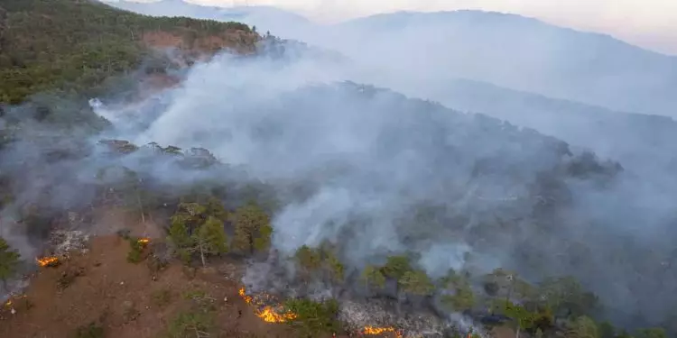 Governo destina R$ 100 milhões para combate a incêndios no Pantanal