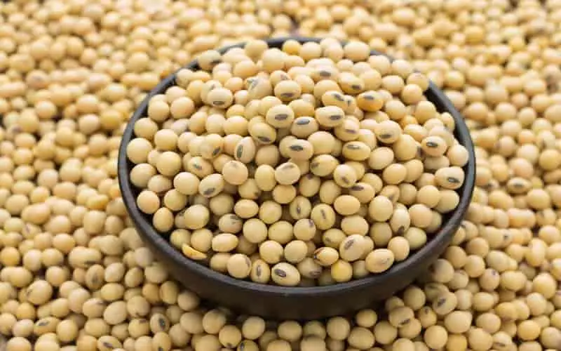 Colheita de soja no Rio Grande do Sul atinge 96% da área