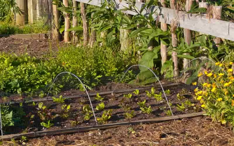 Agricultores familiares terão verba para recuperação após desastres