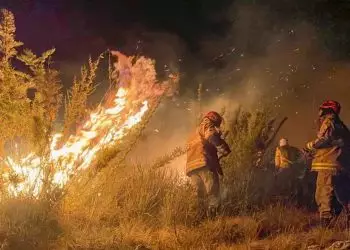 Incêndio atinge 200 hectares do Parque Nacional do Itatiaia