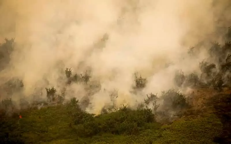 Governo destina R$ 100 milhões para combate a incêndios no Pantanal