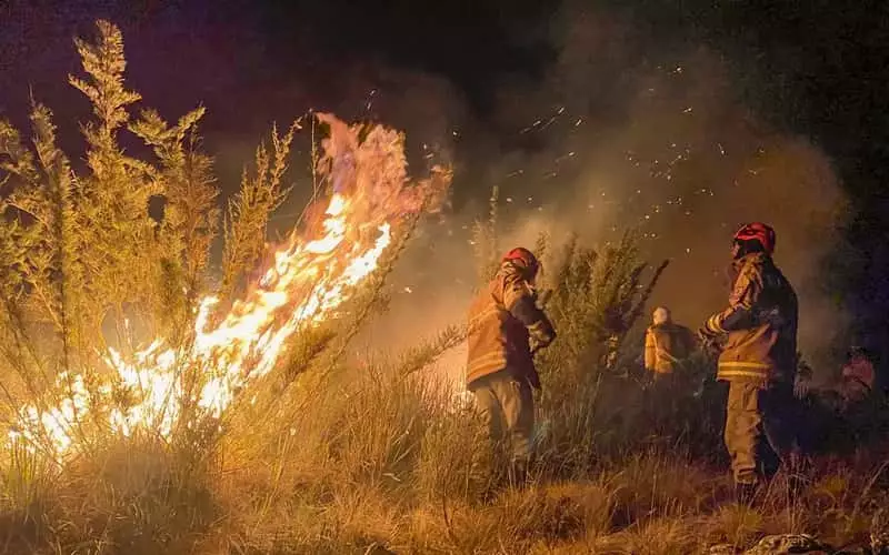 Ministério Público Federal investiga incêndio no Parque Nacional do Itatiaia 2 Ministério Público Federal investiga incêndio no Parque Nacional do Itatiaia