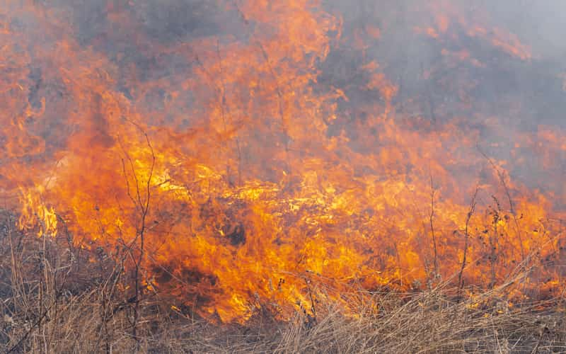 Governo destina R$ 100 milhões para combate a incêndios no Pantanal