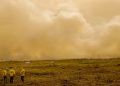 Incêndios no Pantanal atingem mais de 61 mil hectares em quatro dias
