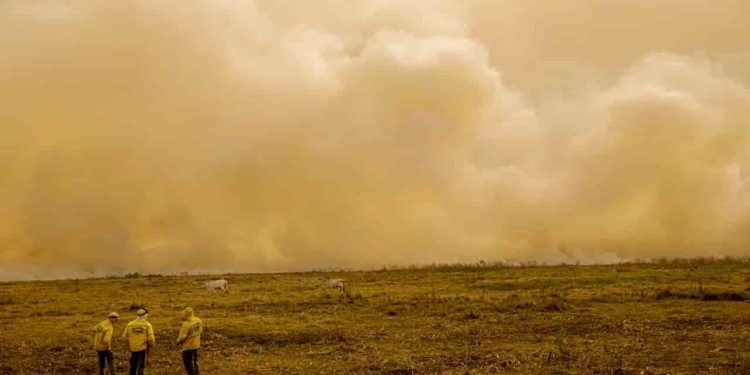 Incêndios no Pantanal atingem mais de 61 mil hectares em quatro dias