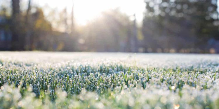 Inverno no Brasil: Impactos no agronegócio e condições climáticas