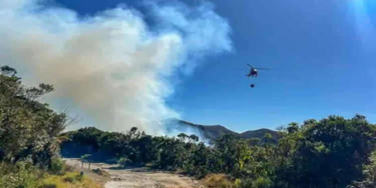 Ministério Público Federal investiga incêndio no Parque Nacional do Itatiaia