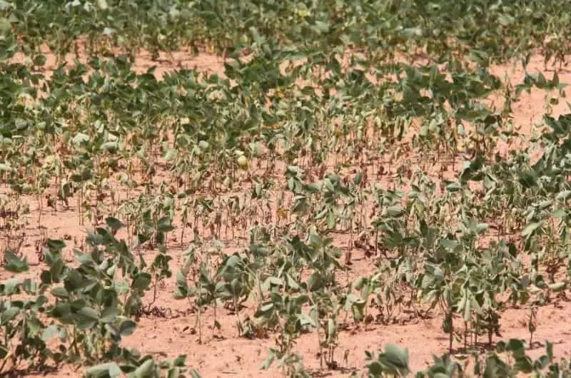 Mudanças climáticas