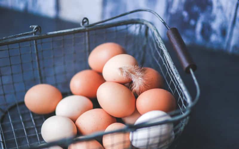 Governo brasileiro abre mercado de aves e ovos férteis para o Reino do Lesoto