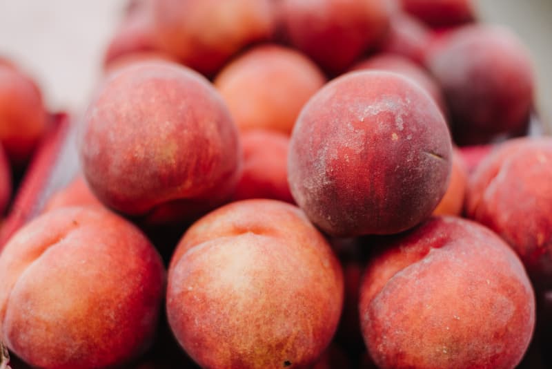 Confira como plantar pêssego a partir da semente e os cuidados com a plantação 3 Pêssego