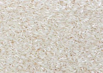 PF investigará suspeitas de fraude no leilão de arroz do Governo Federal
