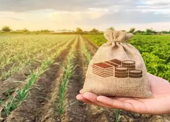 PIB da agropecuária cresce 11,3% no primeiro trimestre de 2024, aponta IBGE