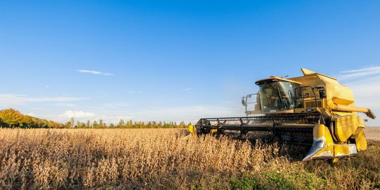 Produção de soja deve chegar a 152,5 milhões de toneladas, aponta associação