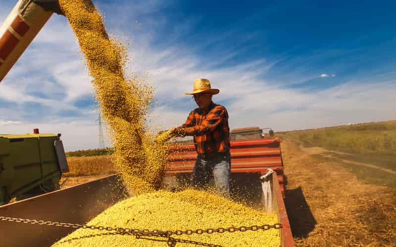 Produção de soja deve chegar a 152,5 milhões de toneladas, aponta associação