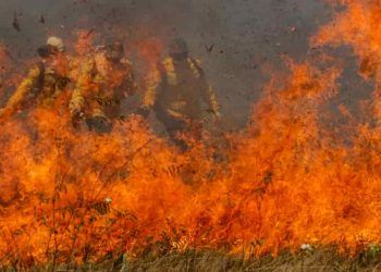 Queimadas: mais de 9 mil focos de incêndio foram registrados no Pantanal