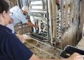 Aplicativo para exame andrológico de bovinos é o novo aliado da pecuária no Brasil
