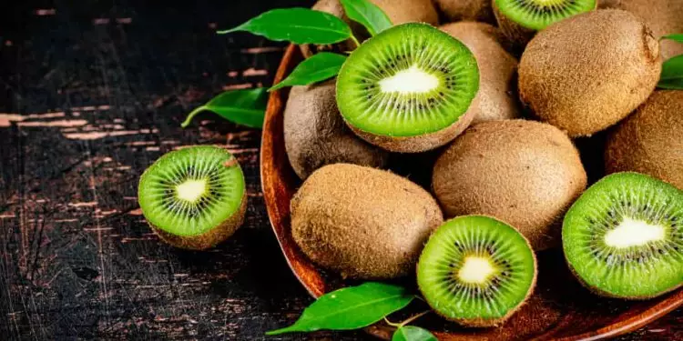 Confira a maneira de como plantar kiwi e a maneira de cuidar da plantação