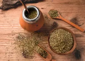 Embrapa atualiza cursos de erva-mate para produtores; confira