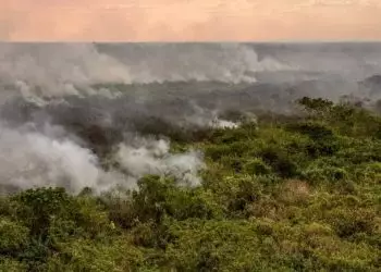 Estudo aponta que Pantanal poderá ter crise hídrica histórica em 2024