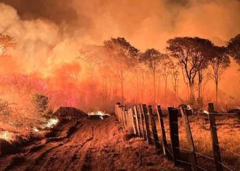 Pantanal queimada em junho supera patamar da maior devastação desde 2012