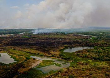 Pantanal tem 96% dos incêndios extintos ou controlados; confira os dados