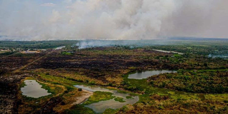 Pantanal tem 96% dos incêndios extintos ou controlados; confira os dados