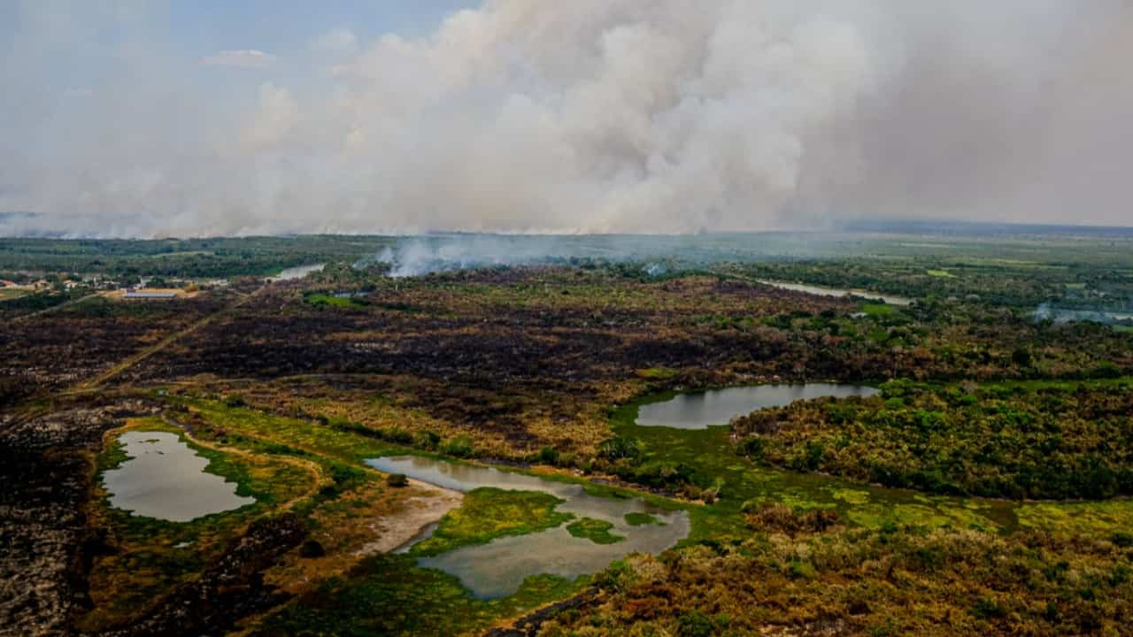 Pantanal Tem 96 Dos Incêndios Extintos Ou Controlados Confira Os Dados