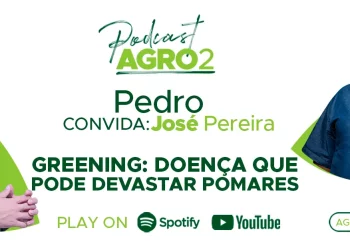 Podcast com Jose Luiz Pereira Lopes