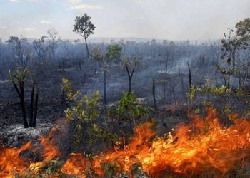 Sancionada lei que endurece controle do fogo na agricultura; veja detalhes