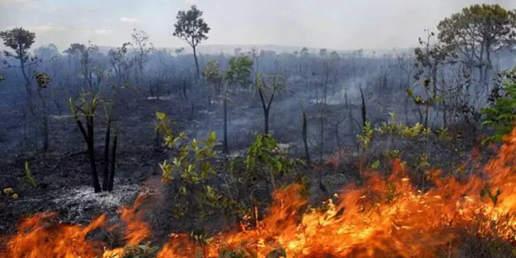 Sancionada lei que endurece controle do fogo na agricultura; veja detalhes