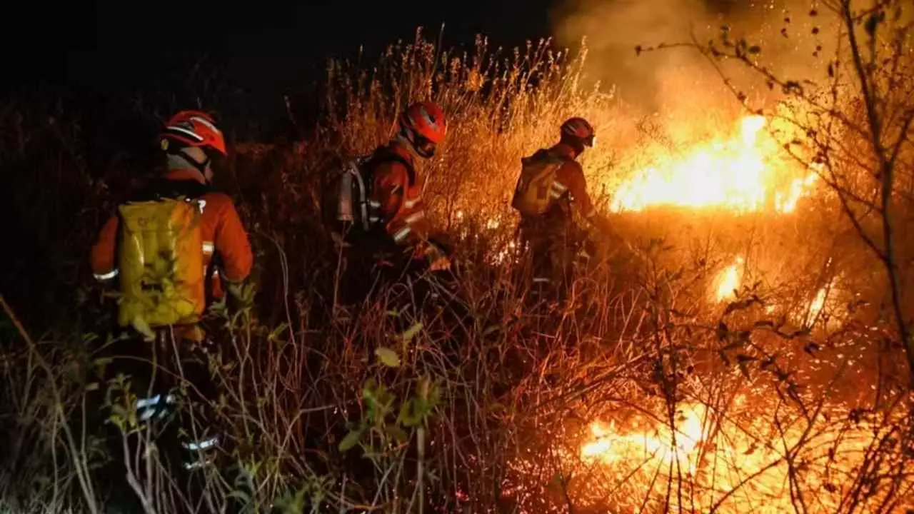 Política Nacional de manejo do fogo é sancionada para combater incêndios florestais