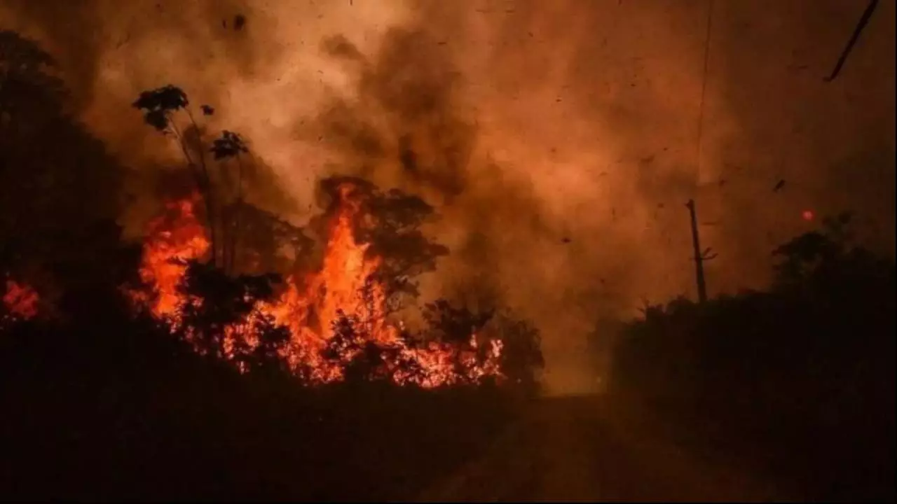 Política Nacional de manejo do fogo é sancionada para combater incêndios florestais